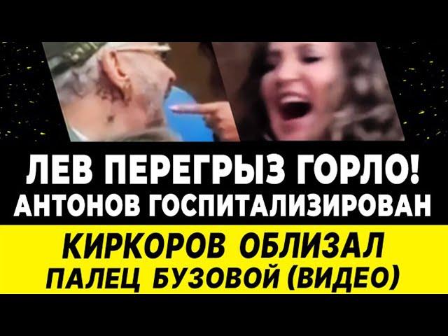 ТРАГЕДИЯ: растерзал лев! АНТОНОВ ГОСПИТАЛИЗИРОВАН! Киркоров облизывает палец Бузовой