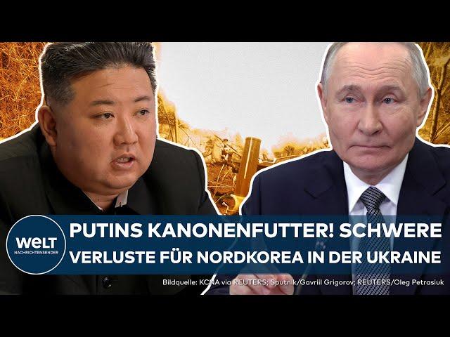 UKRAINE: Putin's cannon fodder! Selensky announces heavy losses for North Korean soldiers