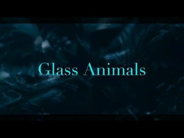 Toes-Glass Animals (Lyrics)