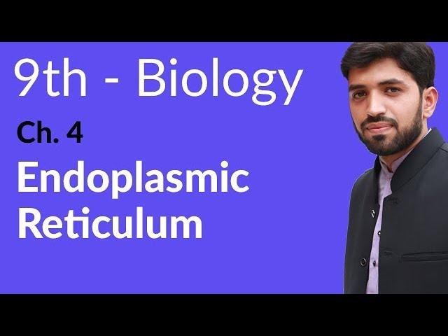 9th Class Biology | Chapter 4 | Endoplasmic Reticulum