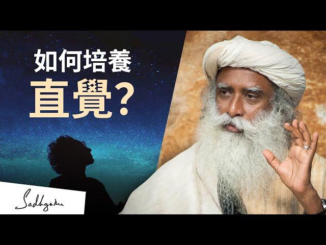 如何培養直覺‍️？| Sadhguru (薩古魯)