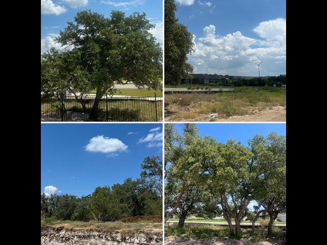 New Greenbelt Homesites in Neighborhood 74 in Sun City Texas