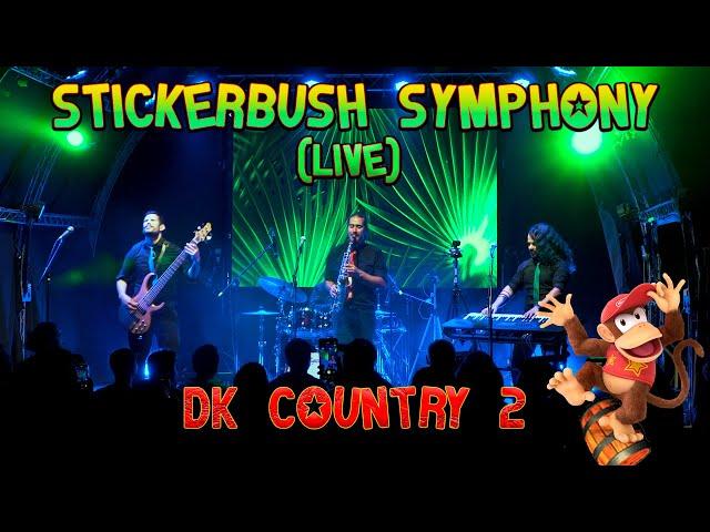 Stickerbush Symphony - DK Country 2 (Live At Trotamundos de Quilpué) // Jazztick