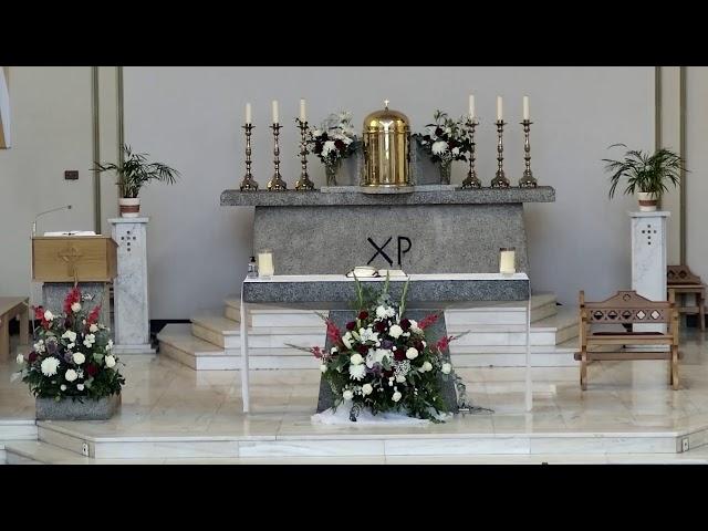 Our Lady of the Visitation Catholic Church Live Stream