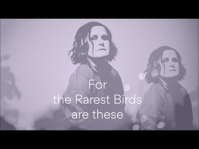 The Rarest Birds lyrics