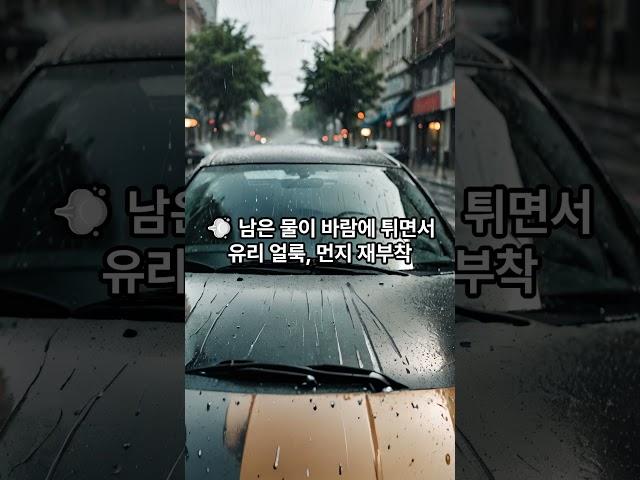 [차알못 이야기]  여름철 세차할 때 꼭 피해야 할 행동 5가지#자동차세차 #여름세차 #차관리팁 #운전자정보 #shorts