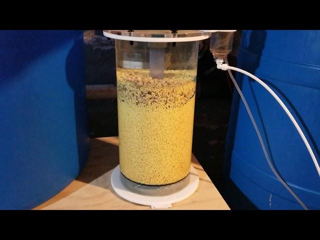 Lower nitrates The best  How to lower your nitrates  video