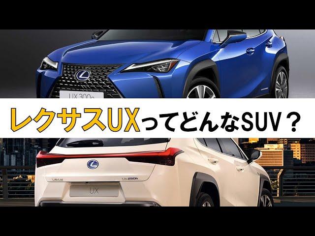 【レクサスUXってどんな車？】高級ブランドが手掛けるSUV #レクサス #ux #レクサスux #suv