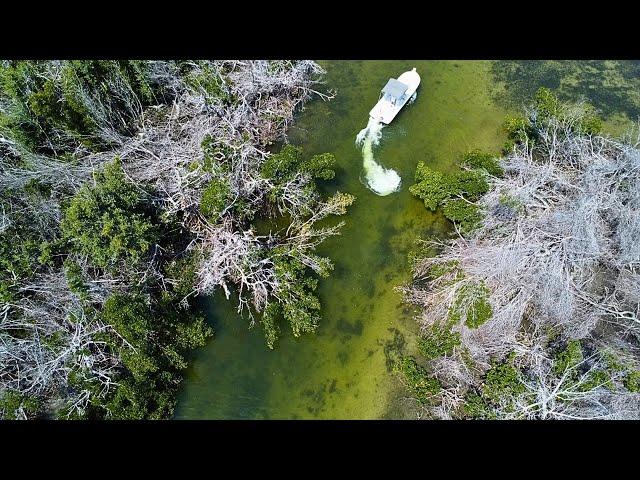 Spot Hopping Charlotte Harbor