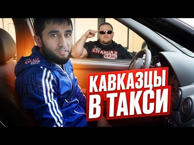 Кавказцы в Яндекс Такси. Подборка тех кто позорит свою нацию. Треш Контент.