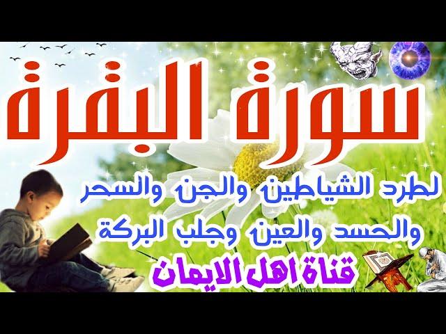 سورة البقرة كاملة مكررة لطرد الشياطين والجن والسحر والحسد والعين جلب الرزق تحصين البيتsurat albaqara