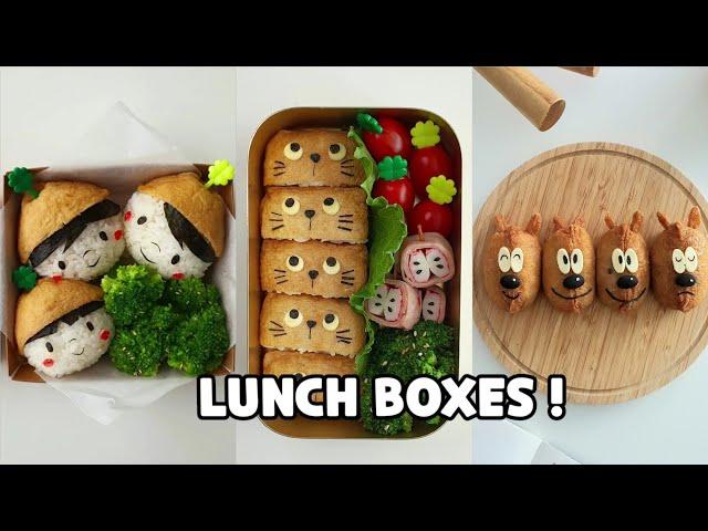 LUNCH BOXES ! 유부초밥 모음/소풍도시락/유치원도시락