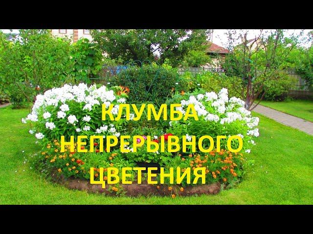 Клумба непрерывного цветения из многолетников | Про Сад с Любовью