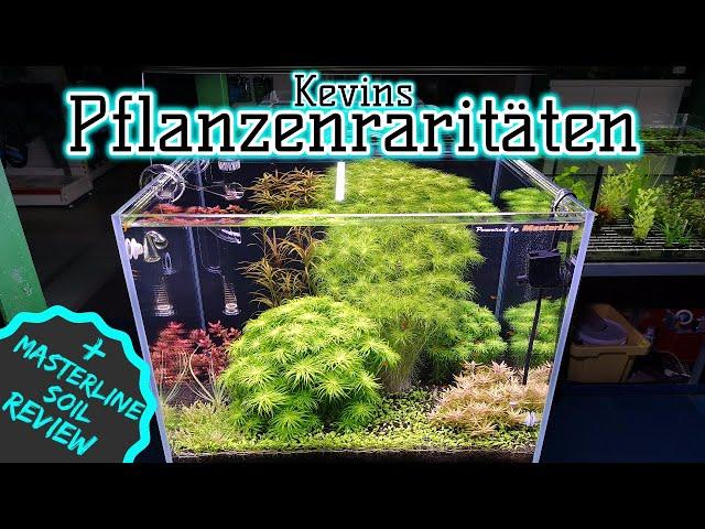 Wasserpflanzen Raritäten  | Dünger für (fast) jedes Soil Aquarium | Masterline Soil Review