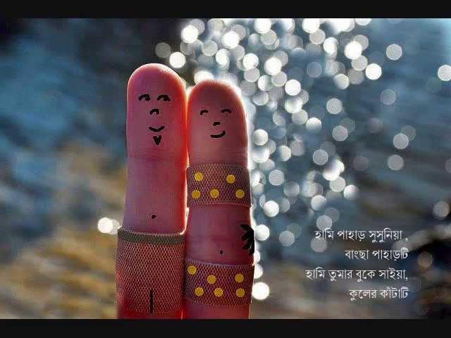 Hamar Nam DuLunG ~ Anushree - BipuL