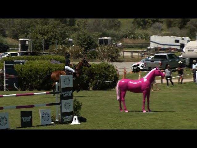 Show Jumping Waitemata World Cup Festival 2024    Young Rider