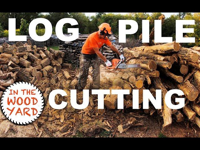 Firewood cutting - Logs in a pile with Husqvarna Chainsaws!  #463