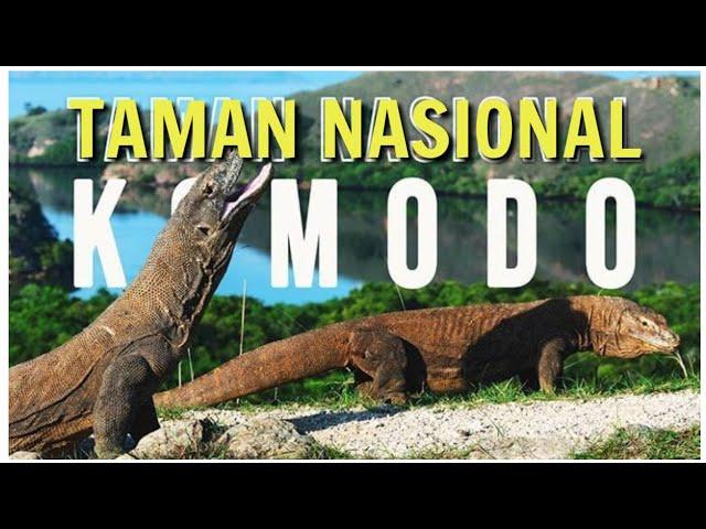 TAMAN NASIONAL KOMODO DI NUSA TENGGARA TIMUR || LABUAN BAJO