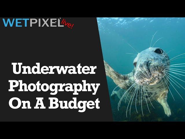 Underwater Camera Gear Options for Photographers on a Budget