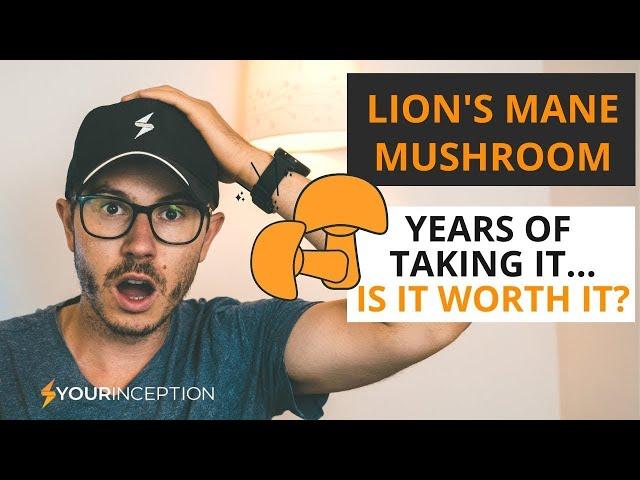 Lion's Mane Mushroom - Everything You Need To Know About It