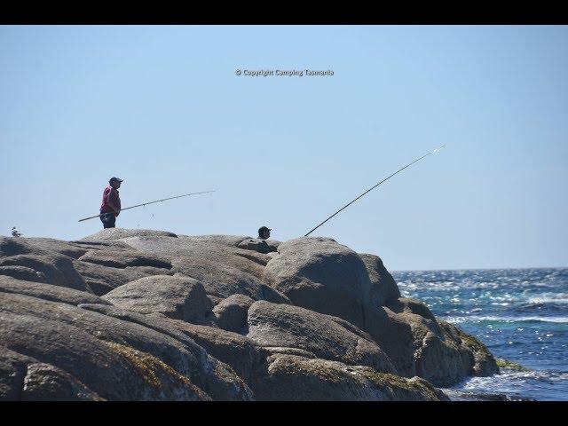 Camping Cosy Corner South Bay of Fires Tasmania