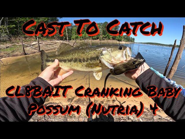 Cast to catch!! Cl8BAIT cranking baby possum (nutria) 4!!!