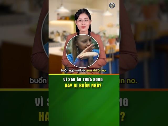 Vì sao ĂN XONG thường BUỒN NGỦ? - KHOẺ TỰ NHIÊN