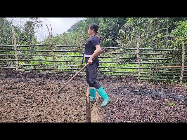 FULL VIDEO: Daily life of a girl in the forest - Pham Tâm