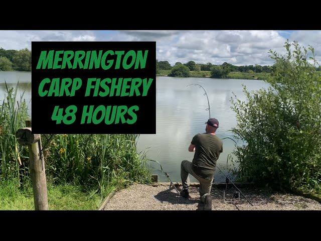 MERRINGTON CARP FISHERY || MAIN LAKE || SUMMER CARP FISHING || SHROPSHIRE