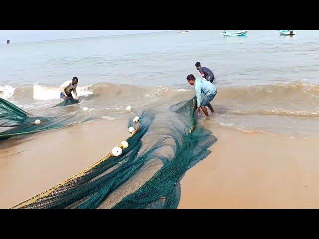  Woow!! Amazing !! Million 5k of fish catching unbelievable fishing video @fishnegombo $