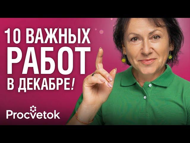 УСПЕЙТЕ СДЕЛАТЬ ЭТО В САДУ И ОГОРОДЕ ДО НОВОГО ГОДА! Чек-лист работ в декабре