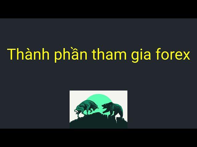 4 thành phần đối tượng tham gia giao dịch forex | Kiến Thức Trade