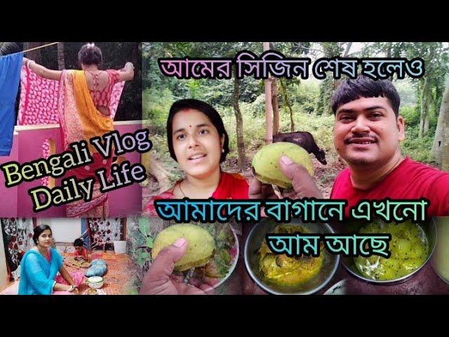 আমের সিজিন শেষ হলেও আমাদের বাগানে এখনো আম আছে  | Bengali Vlog Daily Life