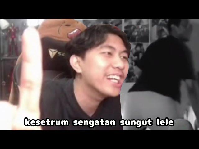 Streamer pemula liat admin yami twerking (momen kocak hitzeed live)