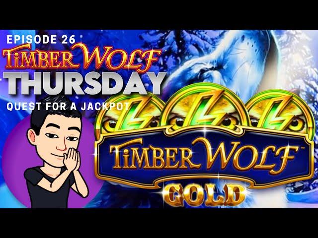 TIMBER WOLF THURSDAY!  [EP 26] QUEST FOR A JACKPOT! TIMBER WOLF GOLD (Aristocrat Gaming)