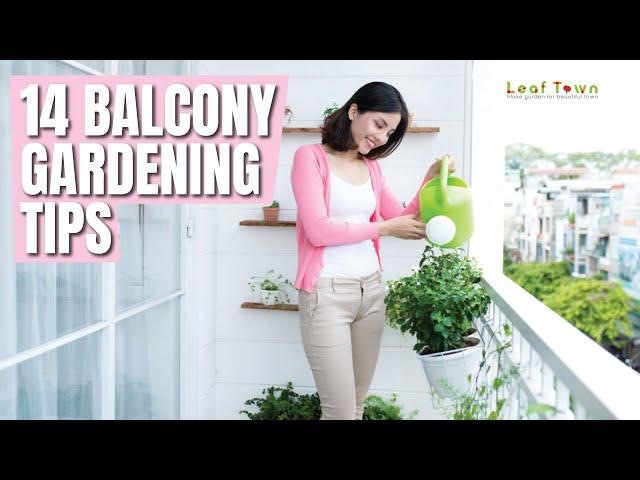 14 Balcony Gardening Tips to Follow Before Setting up a Balcony Garden｜Leaf Town