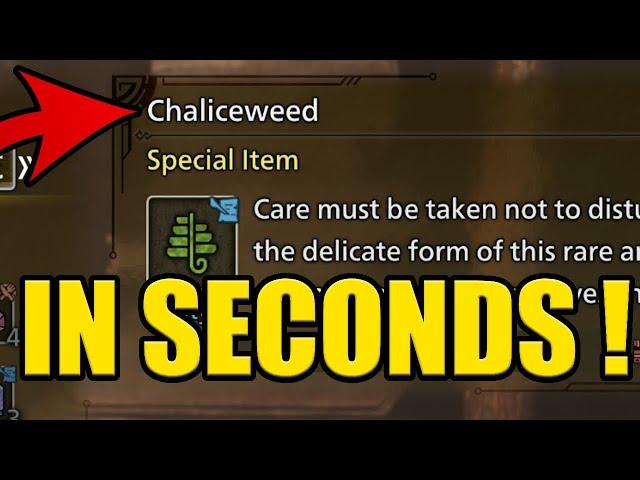 WHERE to FIND CHALICEWEED in MONSTER HUNTER WILDS