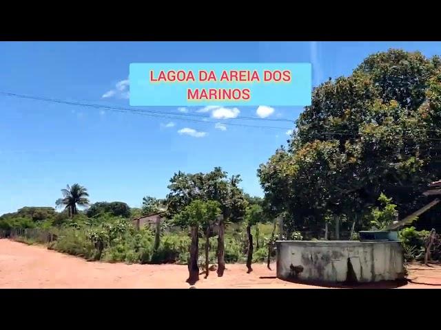 Sítio Lagoinha e demais lugares ótimo para morar - Região de Estrela de Alagoas. AL. 