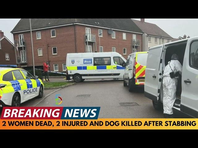 BREAKING NEWS: 2 WOMEN KILLED, 2 INJURED AND DOG KILLED IN STABBING INCIDENT IN MILTON KEYNES