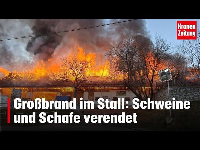 Großbrand im Stall: Schweine und Schafe verendet | krone.tv NEWS