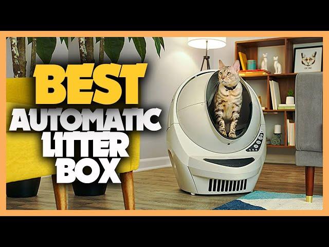 Best Automatic Cat Litter Box in 2022 | 11 Best Self Cleaning Litter Box Picks