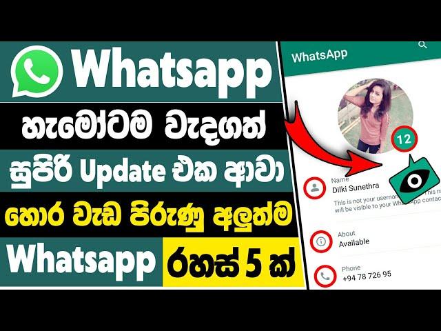 Top 4 useful whatsapp tips and tricks sinhala | whatsapp secret tips and tricks