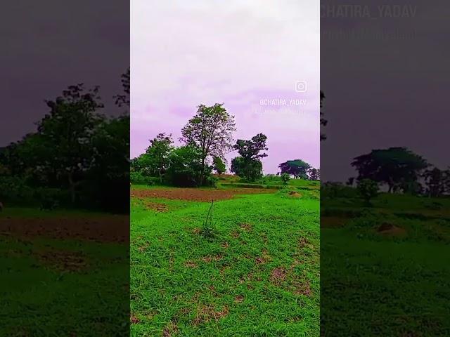 chitra yadav 143
