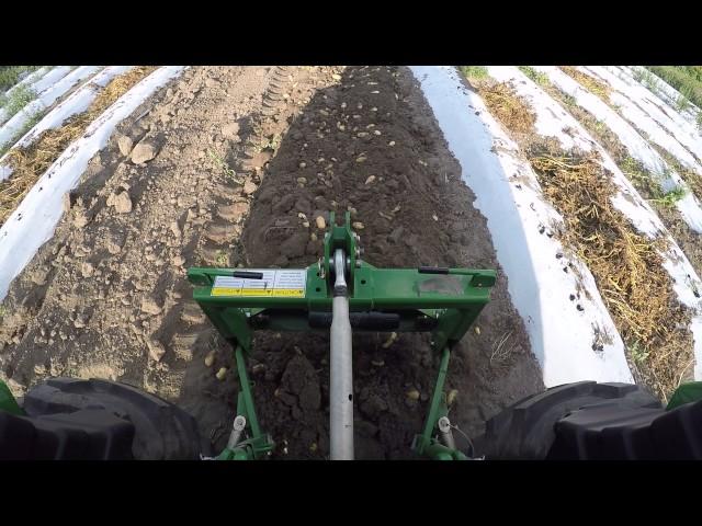 John Deere 4066R Harvesting Potatoes