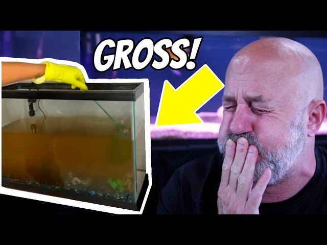 You Didn't Believe Me? Well I Have PROOF! Reacting To Disgusting Aquariums!