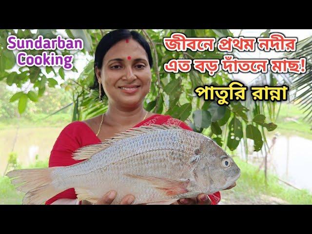 জীবনে প্রথম নদী থেকে ধরা এত বড়ো দাঁতনে মাছের পাতুরি রান্না করলাম! Sundarban Cooking