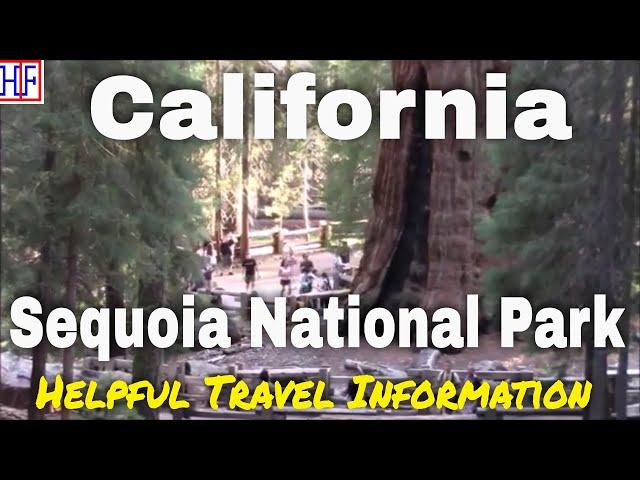 Sequoia National Park – California | Beautiful America Series – Travel Guide - Episode# 17