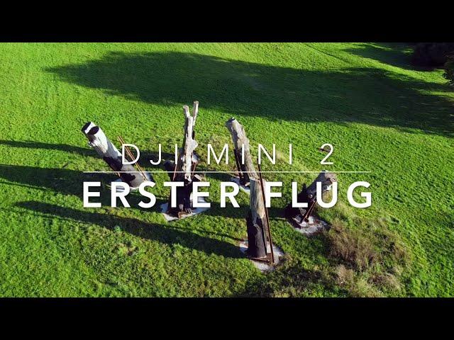 Erster Flug mit der DJI Mini 2 Drohne - ohne Flugerfahrung | Katastrophe?