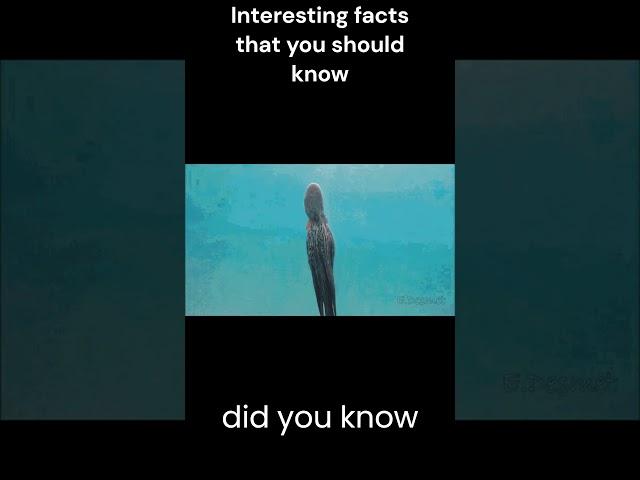 #shorts #didyouknow #educational #curious #amazing #facts #family #funny #howtomake #ideas #little