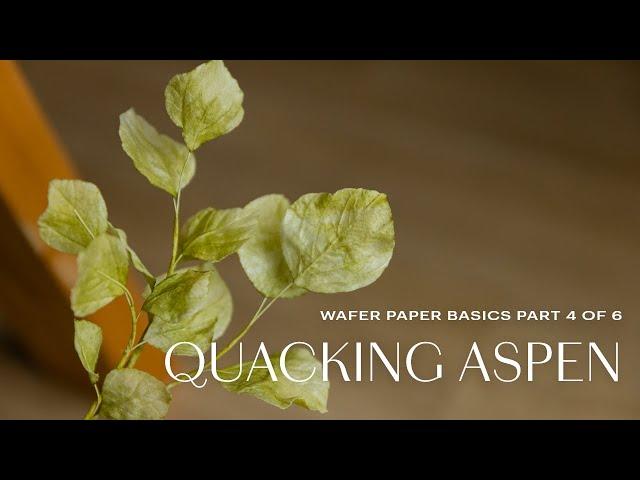 Wafer Paper Flowers Basics for Beginners: Quaking Aspen (Part 4/6)